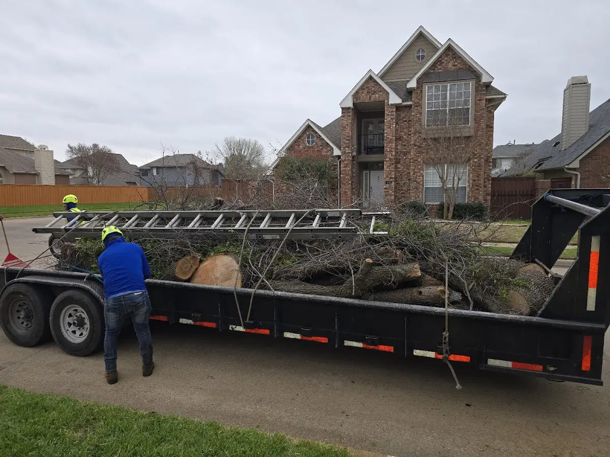 Expert Tree Fertilization with proper safety equipment in Placida